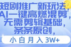 热门项目短剧推广新玩法，AI一键高燃混剪，无需剪辑基础，条条原创，小白月入3W+【揭秘】便宜08月06日冒泡网VIP项目