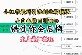 实战2024小红书引流创业粉史上最细教程，手把手教你引流【揭秘】便宜07月22日冒泡网VIP项目