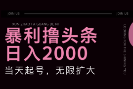 实战（11929期）暴力撸头条，单号日入2000+，可无限扩大便宜08月01日中创网VIP项目