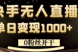 每日0粉丝开干，快手无人直播，单日变现1k+【揭秘】09-10冒泡网