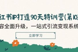 实战小红书IP打造90天特训营(第10期)：内容全面升级，一站式引流变现系统课便宜08月10日福缘网VIP项目