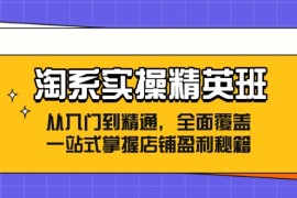 创业项目（12276期）淘系实操精英班：从入门到精通，全面覆盖，一站式掌握店铺盈利秘籍08-24中创网