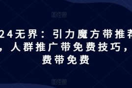 每日2024无界：引力魔方带推荐玩法，人群推广带免费技巧，付费带免费便宜07月12日冒泡网VIP项目