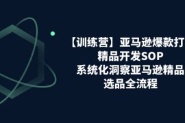 （11210期）【训练营】亚马逊爆款打造之精品开发SOP，系统化洞察亚马逊精品选品全流程，06月23日中创网VIP项目