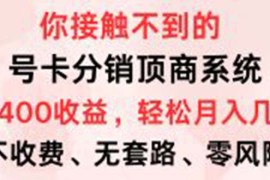 创业项目（12820期）号卡分销顶商系统，单卡400+收益。0门槛免费领，月入几W超轻松！10-03中创网