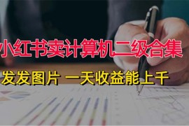 创业项目（12228期）小红书卖计算机二级合集，发发图片一天收益能上千08-19中创网