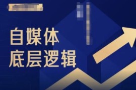 每日2024自媒体底层逻辑录播课，自媒体小白必看便宜08月09日冒泡网VIP项目