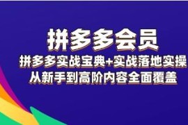 拼多多实战宝典，实战落地实操结盟抖音号运营