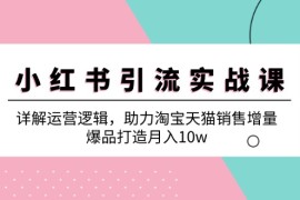 2024最新（12809期）小红书引流实战课：详解运营逻辑，助力淘宝天猫销售增量，爆品打造月入10w10-02中创网