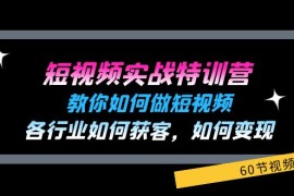 每日（11729期）短视频实战特训营：教你如何做短视频，各行业如何获客，如何变现(60节)便宜07月22日中创网VIP项目