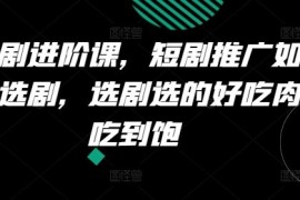 简单项目短剧进阶课，短剧推广如何选剧，选剧选的好吃肉吃到饱便宜07月11日冒泡网VIP项目