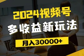 每天（11905期）2024视频号多收益新玩法，每天5分钟，月入3w+，新手小白都能简单上手便宜08月01日中创网VIP项目