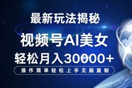 热门项目（12410期）视频号最新玩法解析AI美女跳舞，轻松月入30000+08-31中创网