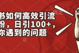 小红书如何高效引流创业粉，日引100+，解决你遇到的问题【揭秘】，06月23日冒泡网VIP项目