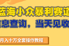 蓝海小众暴利赛道，信息查询，当天见收益，不讲玄学，7天搞了2万+