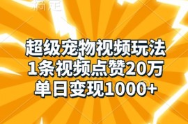 每天超级宠物视频玩法，1条视频点赞20万，单日变现1k11-22冒泡网