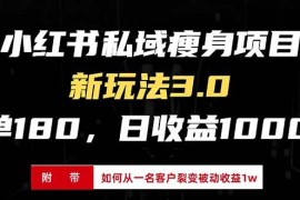 2024最新（13348期）小红书瘦身项目3.0模式，新手小白日赚收益1000+（附从一名客户裂变收益&#8230;11-16中创网