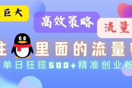 简单项目（13068期）流量蓝海，抓住QQ里面的流量密码！高效策略，单日狂揽500+精准创业粉中创网