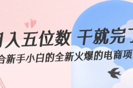 创业项目（12241期）月入五位数干就完了适合新手小白的全新火爆的电商项目08-20中创网