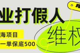 2024最新职业打假人电商维权揭秘，一单保底500，全新冷门暴利项目【仅揭秘】便宜07月19日冒泡网VIP项目