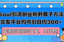 最新项目（12281期）Soul引流创业粉野路子方法，交友平台均可引日均300+，无需剪视频写文案&#8230;08-23中创网