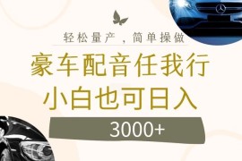 简单项目不为人知的暴力小项目，豪车配音，日入几张【揭秘】08-25冒泡网