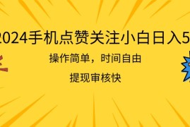 2024最新（11411期）2024手机点赞关注小白日入500  操作简单提现快，07月03日中创网VIP项目