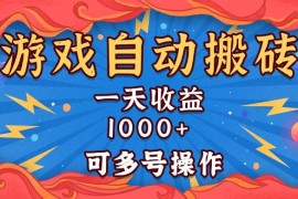 创业项目（13600期）国外游戏无脑自动搬砖，一天收益1000+可多号操作12-07中创网