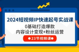 赚钱项目（11493期）2024短视频IP快速起号实战课，0基础打造爆款内容设计变现+粉丝运营(23节)便宜07月08日中创网VIP项目