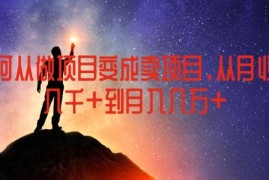 热门项目如何从做项目变成卖项目，从月收入几千到月入几万【揭秘】便宜07月20日冒泡网VIP项目