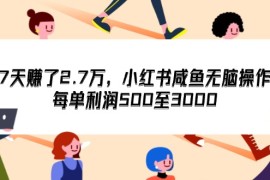 每日（12192期）7天收了2.7万，小红书咸鱼无脑操作，每单利润500至300008-17中创网