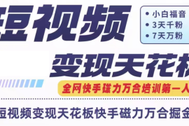 简单项目快手磁力万合短视频变现天花板+7天W粉号操作SOP便宜07月18日福缘网VIP项目