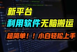 创业项目（12203期）B站平台用软件无脑搬运，月赚10000+，小白也能轻松上手便宜08月19日中创网VIP项目