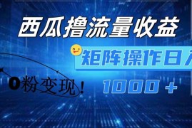 每日西瓜视频撸流量，简单上手，0粉变现矩阵操作，日入1000+【揭秘】便宜07月16日冒泡网VIP项目