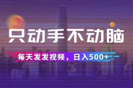 2024最新（12433期）只动手不动脑，每天发发视频，日入500+09-02中创网