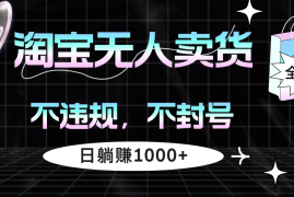 每天（12780期）淘宝无人卖货4，不违规不封号，简单无脑，日躺赚1000+09-28中创网