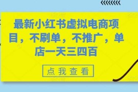 热门项目最新小红书虚拟电商项目，不刷单，不推广，单店一天三四百冒泡网