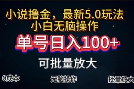 赚钱项目（11651期）全自动小说撸金，单号日入100+小白轻松上手，无脑操作便宜07月16日中创网VIP项目