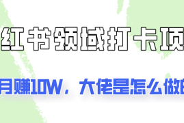 创业项目通过小红书领域打卡项目2个月赚10W，大佬是怎么做的？便宜08月09日福缘网VIP项目