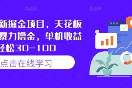 每日快手最新掘金项目，天花板玩法，暴力撸金，单机收益轻松30-10009-16冒泡网