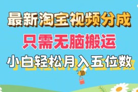 每日（11744期）最新淘宝视频分成，只需无脑搬运，小白也能轻松月入五位数，可矩阵批量&#8230;便宜07月23日中创网VIP项目