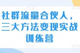 实战社群流量合伙人，三大方法变现实战训练营11-26冒泡网