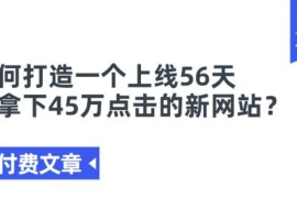 热门项目某付费文章《如何打造一个上线56天就拿下45万点击的新网站?》便宜07月04日冒泡网VIP项目