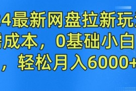 最新项目2024最新网盘拉新玩法，无需成本，0基础小白可做，轻松月入6000+【揭秘】便宜07月16日冒泡网VIP项目