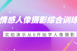 热门项目情感人像摄影综合训练，实拍演示从0开始学人像摄影（24节）11-30福缘网