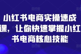 每日小红书电商实操速成课，让你快速掌握小红书电商核心技能便宜07月29日冒泡网VIP项目