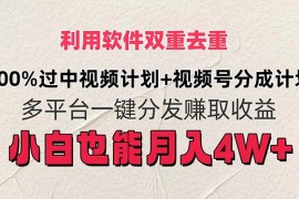 实战（11862期）利用软件双重去重，100%过中视频+视频号分成计划小白也可以月入4W+便宜07月29日中创网VIP项目