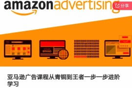 热门项目亚马逊广告课程，从青铜到王者一步一步进阶学习便宜08月02日冒泡网VIP项目