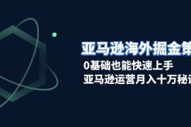 热门项目（13644期）亚马逊海外掘金策略，0基础也能快速上手，亚马逊运营月入十万秘诀12-12中创网