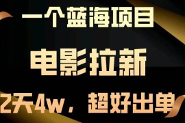 2024最新（13396期）【蓝海项目】电影拉新，两天搞了近4w，超好出单，直接起飞11-20中创网